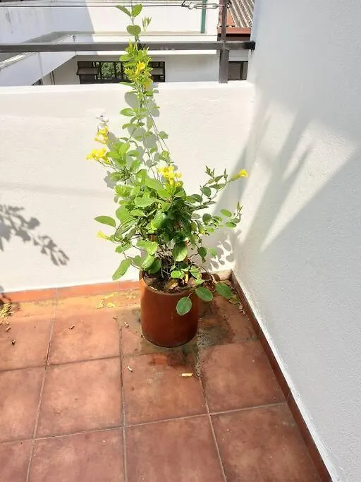 Comfortable & Serene Stay At Red Rocks Villa Rajagiriya Sri Lanka